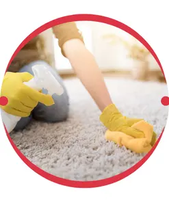 Rug & Upholstery Cleaning  